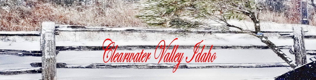 Clearwater River Harpster Idaho